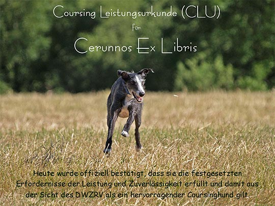 Coursing Leistungsurkunde für Cerunnos Ex Libris