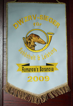 Wimpel DWZRV-Sieger 2009 für Galgo Español Hündin Romanow's Bonanova