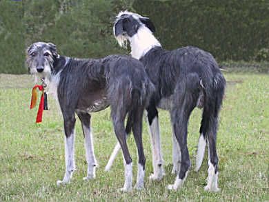 Cerunnos Voodoo und ihr Sohn Cerunnos Errol Flynn